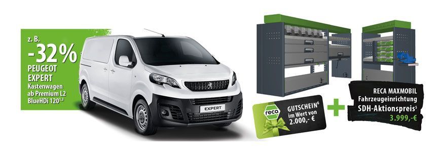 Angbeot-SHK-Peugeot-Expert-SDH