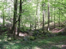 Stadtwald Baden-Baden-Karte Stadtwald Baden-Baden-Karte