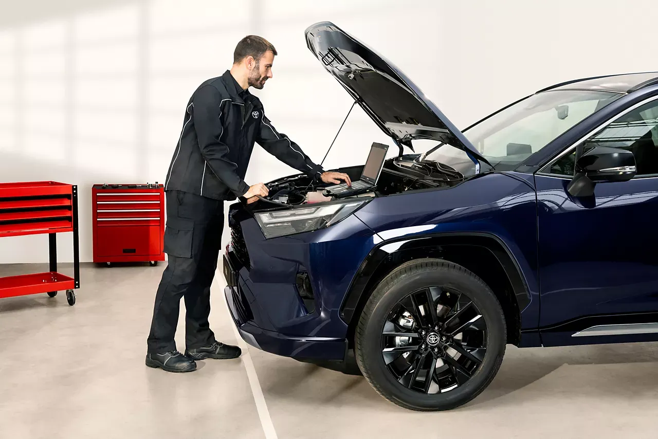 Toyota Flex Garantie